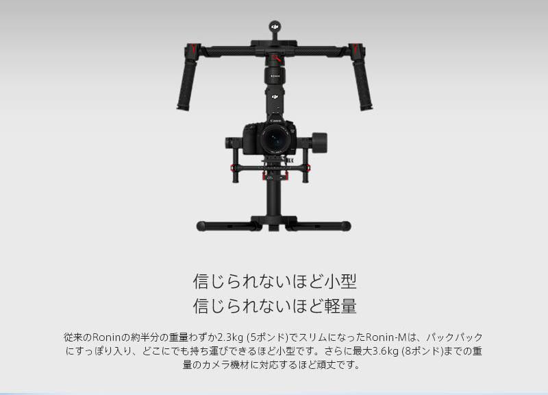 Ronin-M
